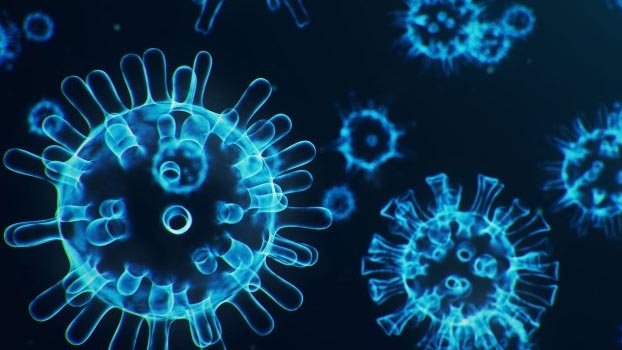 Global Covid-19 cases exceed 82 million