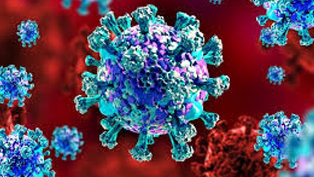 Covid-19 global cases exceed 83 million