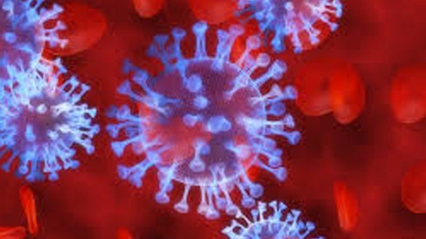 Lowest daily virus cases in 8 months