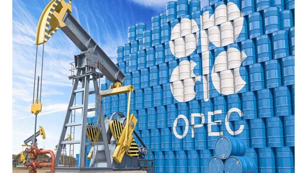 OPEC+ meeting to set  Feb production levels