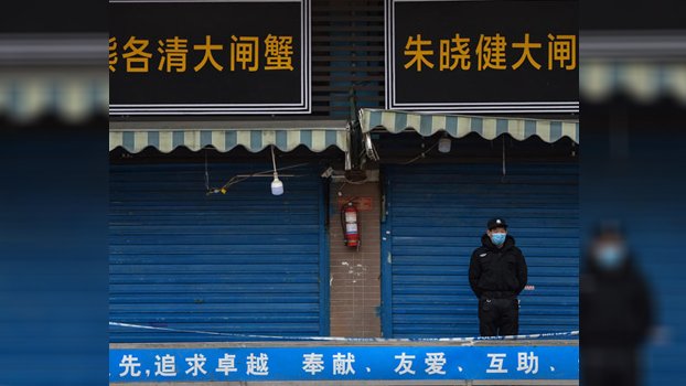 Impasse over WHO virus mission ‘not just a visa issue’: China