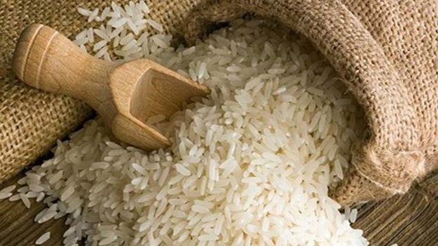 Govt to procure 1 lakh tonnes non- basmati, 50,000 tonnes Atap rice from India