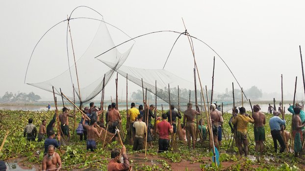 Fish festival held at water bodies of Basail