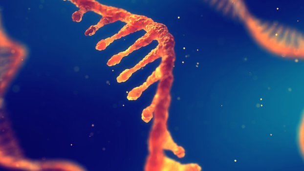 Bangladesh submits 304 genome sequences of Covid-19