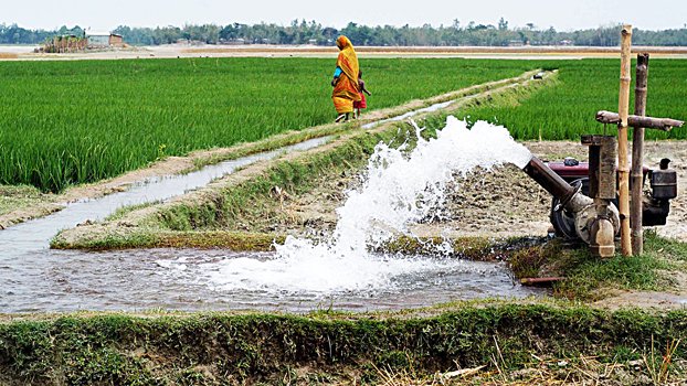 Cut agri production cost thru irrigation  efficiency’
