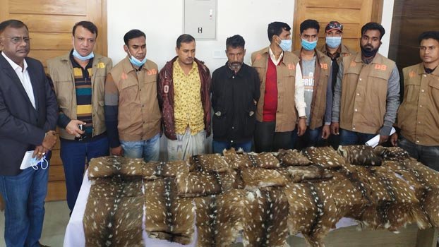Two smugglers arrested with 19 deer hides in Bagerhat