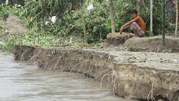 Sustainable dykes remedy for river erosion 