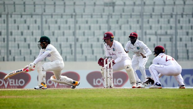 Tigers try to fight back