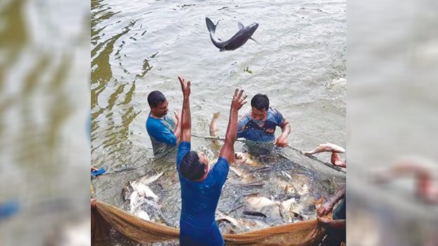 RAKUB disburses Tk 10cr loan for pisciculture in N districts