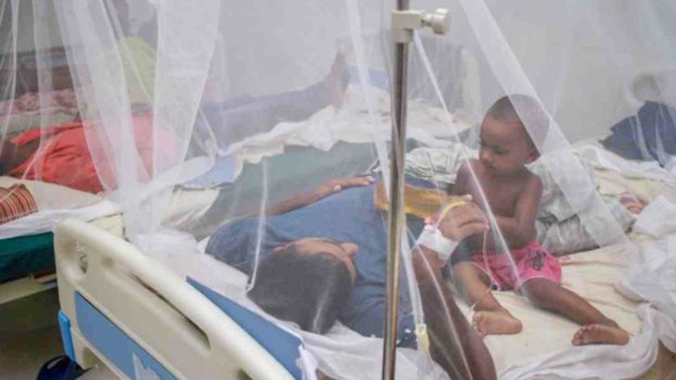 Dengue: Bangladesh sees significant improvement