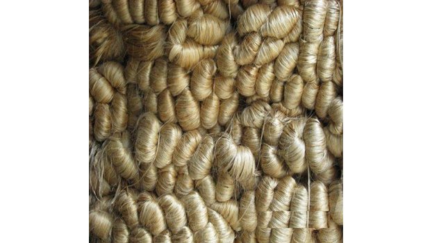 Raw jute price skyrockets