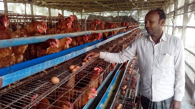 Chatmohar farmers happy as they get incentive money thru’ mobileChatmohar Correspondent  Under the Livestock and Dairy Developme