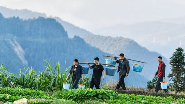 Experts hail report on China’s poverty alleviation achievements