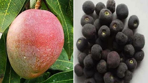 Two new fruit varieties get registration
