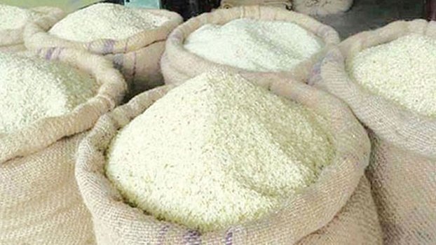 Govt increasing rice import