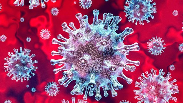 Bangladesh reports highest Covid cases in a single day