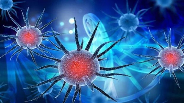 Bangladesh reports 58 deaths, 5,683 fresh cases from Covid