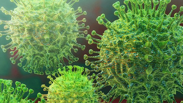 Bangladesh reports highest Covid cases in a single day