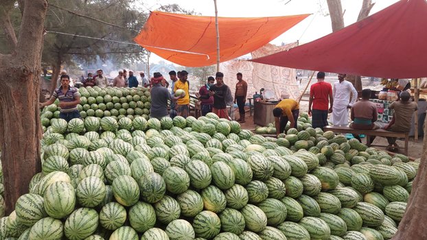 Gopalganj fruit sellers face transportation problem