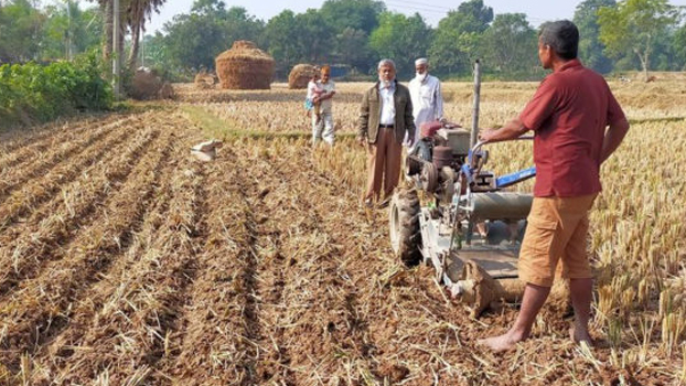 Crop farming in bed-planting method gains popularity - Bangladesh Post