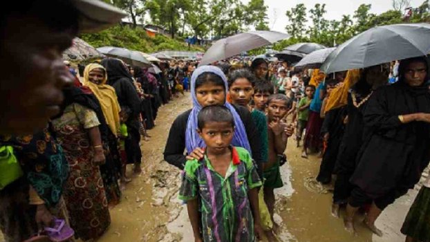 S Korea provides US$ 1 mn to IOM to support Rohingyas