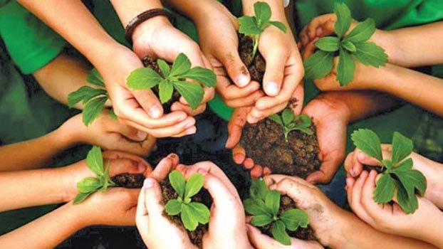 Move to attract educated youths to agri sector