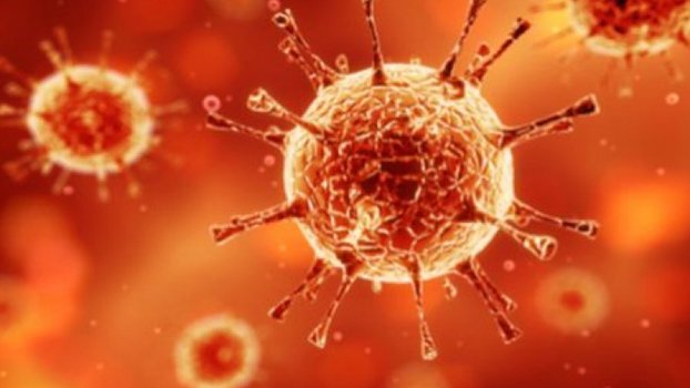 Global Covid-19 cases cross 144 million