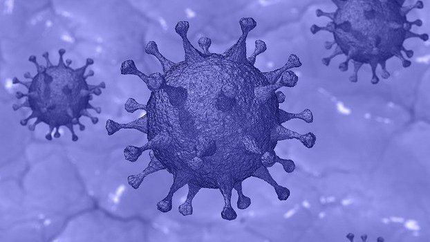 Deaths from Coronavirus drops, recovery rises