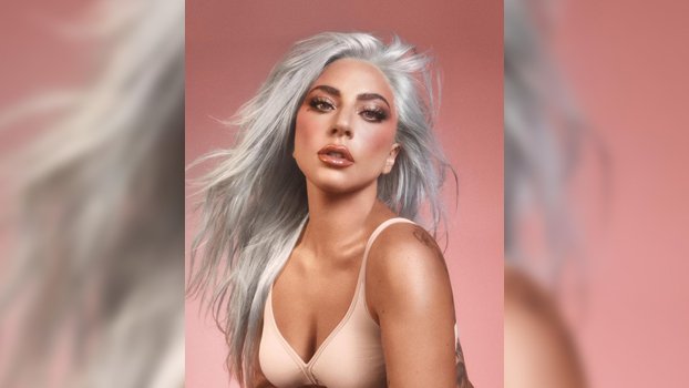 5 arrested in Lady Gaga dognapping case
