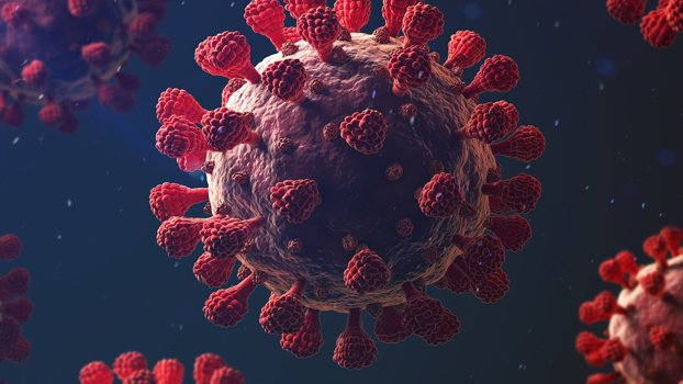 Covid infection rate drops, 69 deaths in 24 hrs
