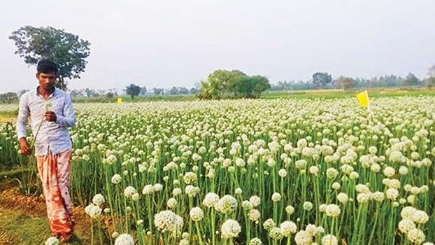 Modern technology promotes SME farmers in Rajshahi