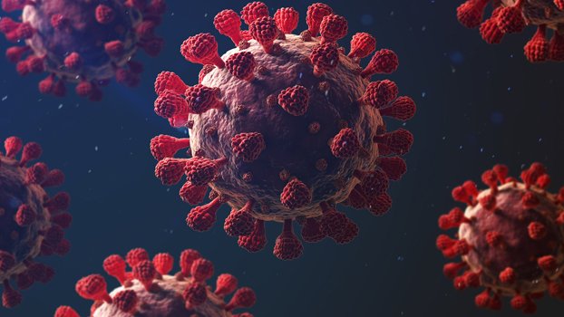 Global Covid cases top 165 million