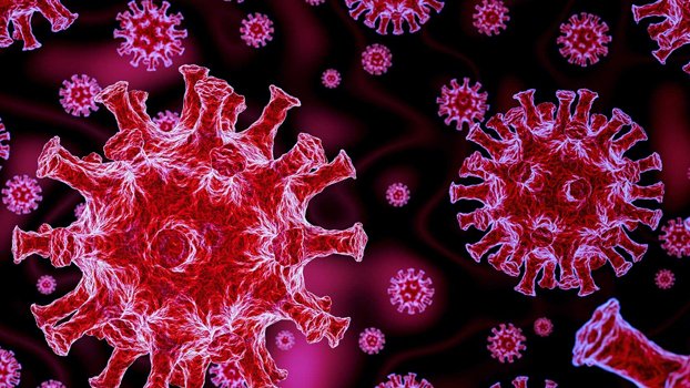 38 deaths in 24 hours, 1,028 newly infected