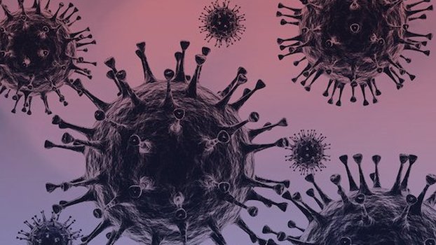 Covid-19 deaths and infections continue to fluctuate