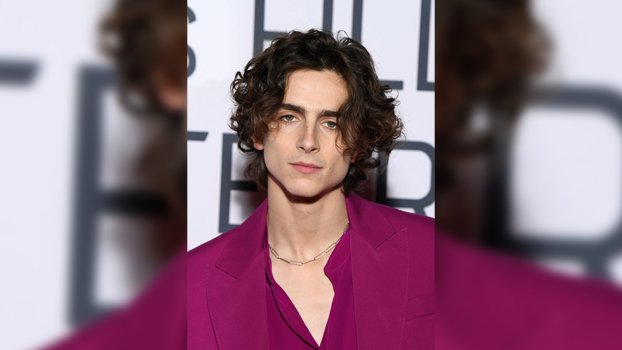 Timothee to play young Willy Wonka