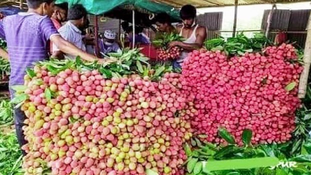 Litchi trading reaches peak