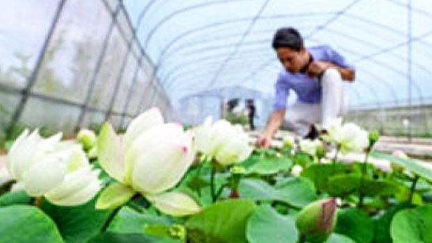Tax data in first 4 months reflects China’s recovery