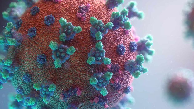 Vietnam finds new virus variant, hybrid of India, UK strains