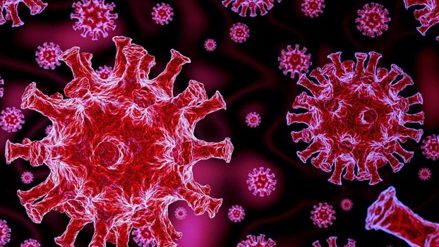 Surge in Covid cases continues