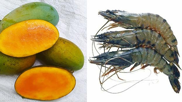 Fazli, Bagda set for GI certification