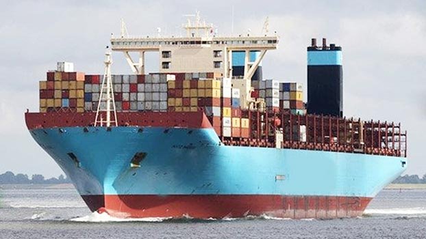 Pandemic drives sea freight prices to record high 