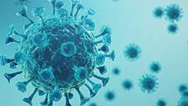 185 deaths in 24 hours, 8,772 newly infected