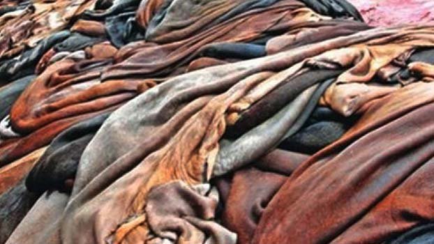Govt allows rawhide export 