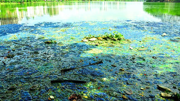 Hatirjheel gets  dirty day by day