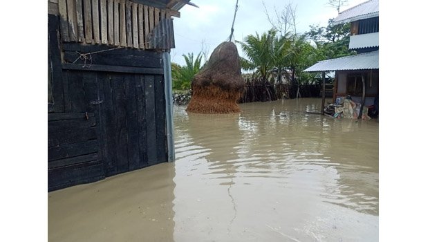 Kuakata beach in jeopardy,  geo bags being dumped