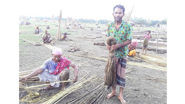 Farmers happy with  fair price of  jute 