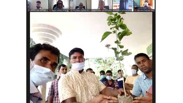 77 farmers get high-value nonconventional fruit trees