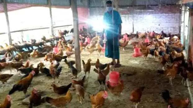 Poultry farm owners suffer loss in Naogaon
