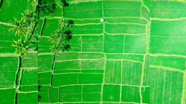 Automate land management on cards
