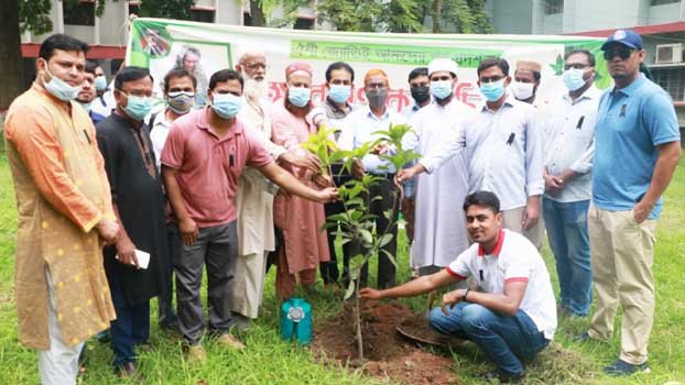 Week-long tree planting programme starts  at RUET